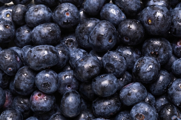 Lots of blueberries