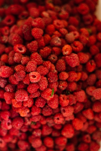 Lots of bright raspberries. Background, picture for postcard
