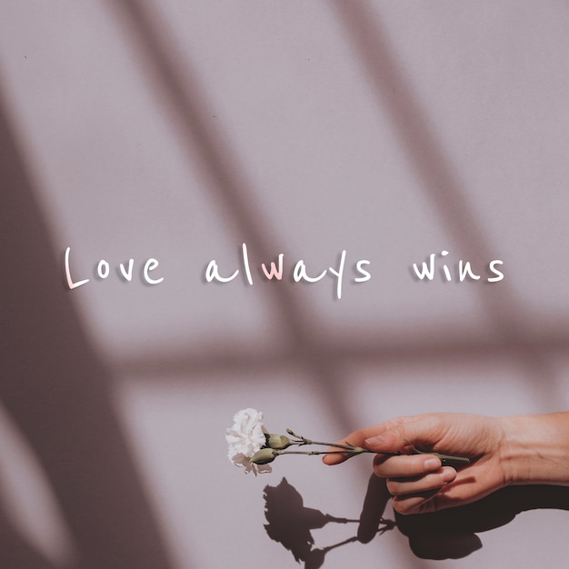 Love always wins quote on a wall and hand holding flower