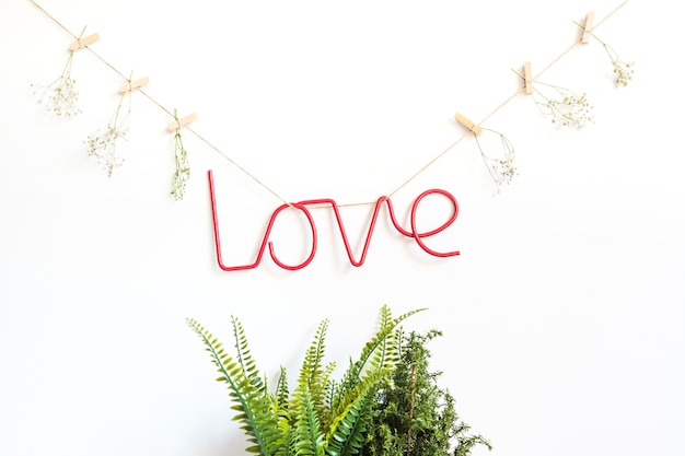 Free photo love concept with plants and clothes line