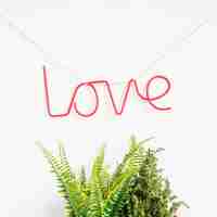 Free photo love concept with plants