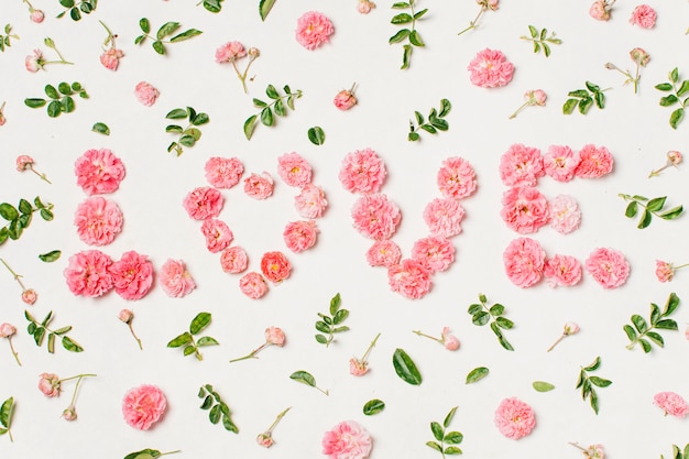 Love inscription from pink flowers 