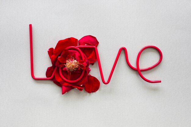 Любовная надпись на лепестках красной розы на столе