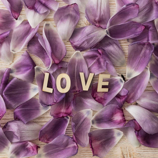 "love" lettering on petals