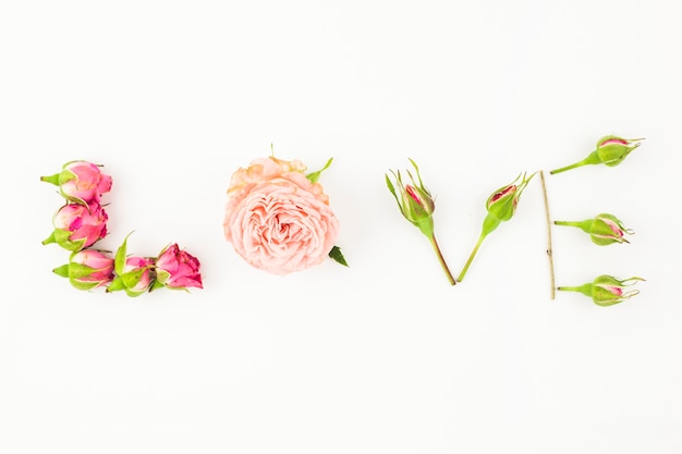 Love text made with pink rose and buds on white backdrop