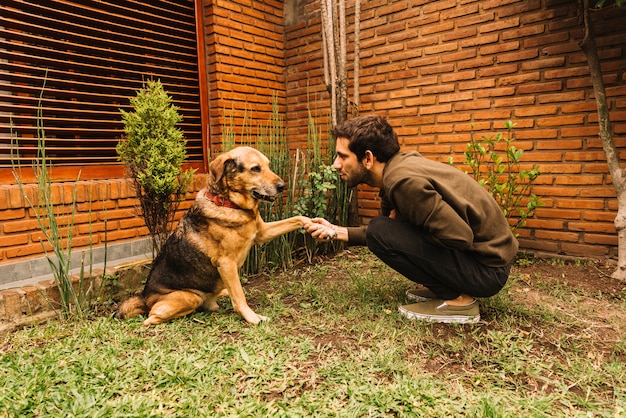 愛らしい犬が庭でポーズをとる