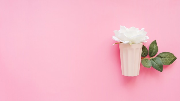 Lovely flower in cup