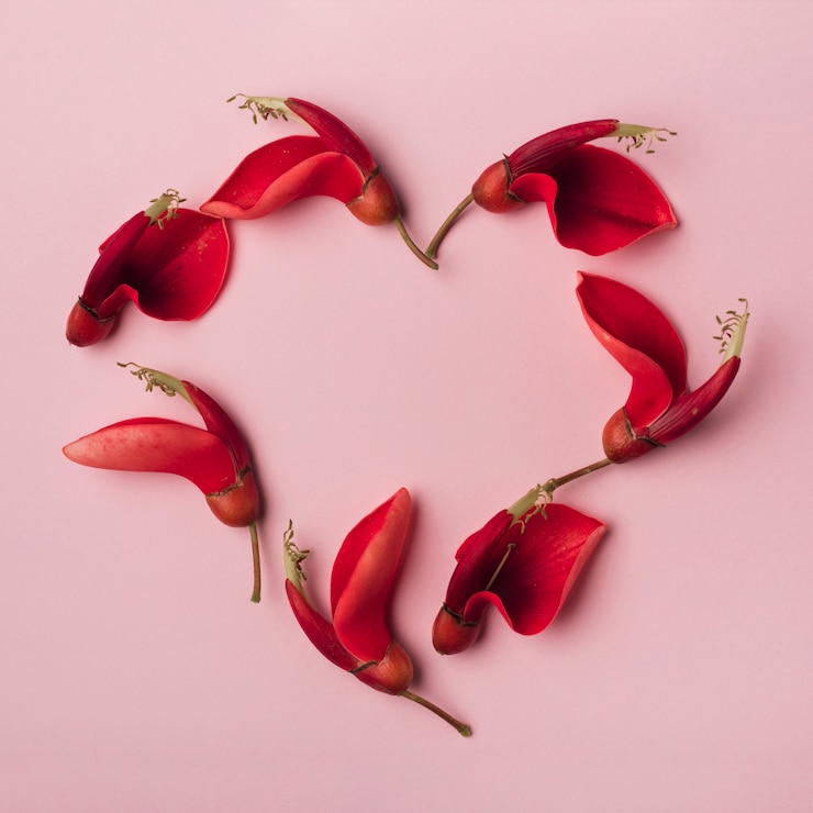 Free Photo lovely flowers concept with elegant style