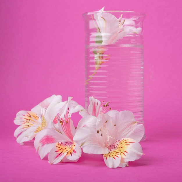 Free photo lovely flowers concept with glass of water