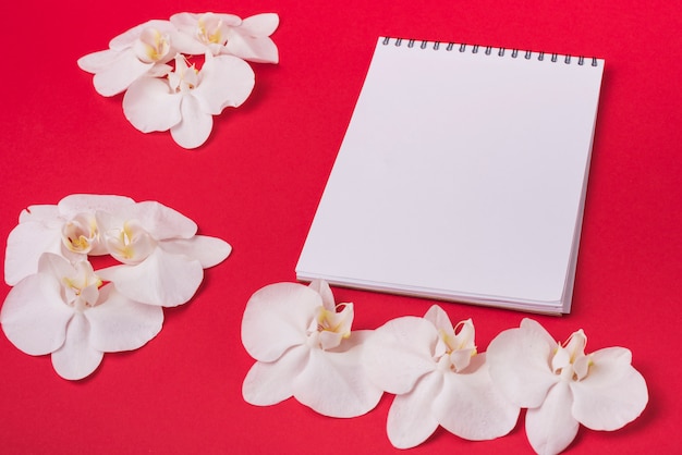 Foto gratuita concetto di fiori incantevole con notebook moderno