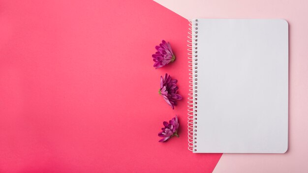 Lovely flowers concept with notebook