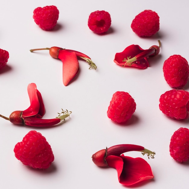 붉은 과일과 사랑스러운 꽃 개념