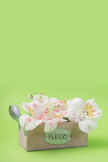 Free photo lovely flowers concept with wooden box