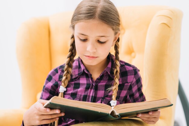 Lovely little girl reading a book