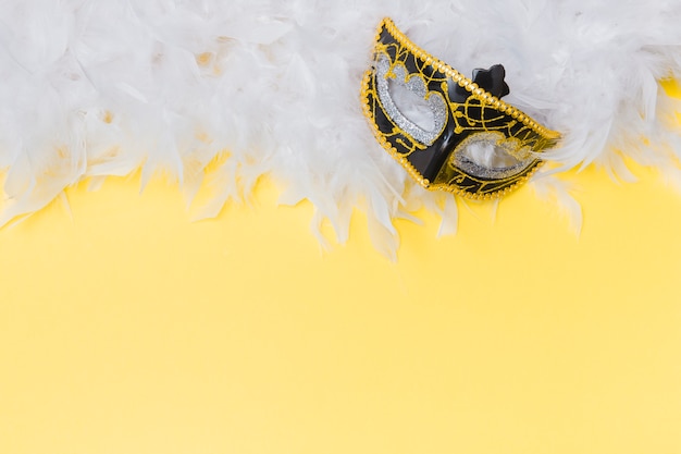 Free photo lovely masquerade mask on feathers