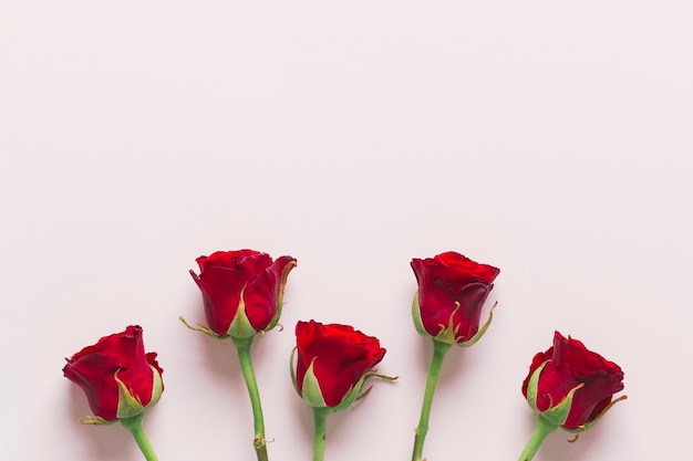 무료 사진 사랑스러운 빨간 장미 구성