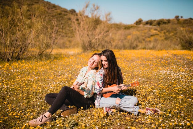 Lovely women with ukuleles in meadow