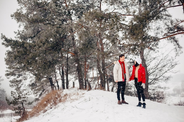 冬の公園を歩いて愛するカップル