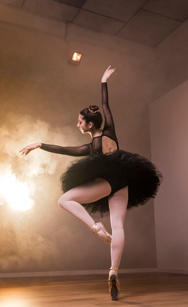 Low angle back view ballerina posing