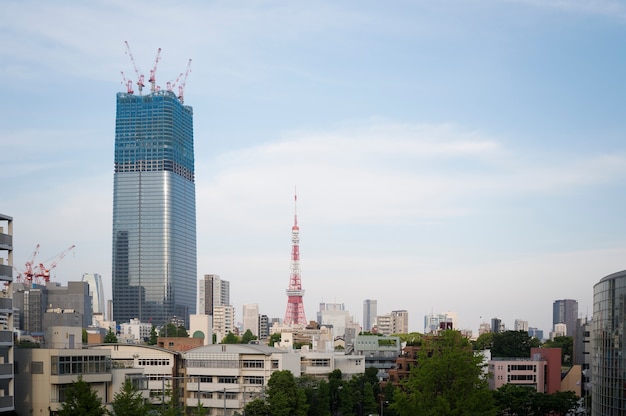 Low angle beautiful city landscape