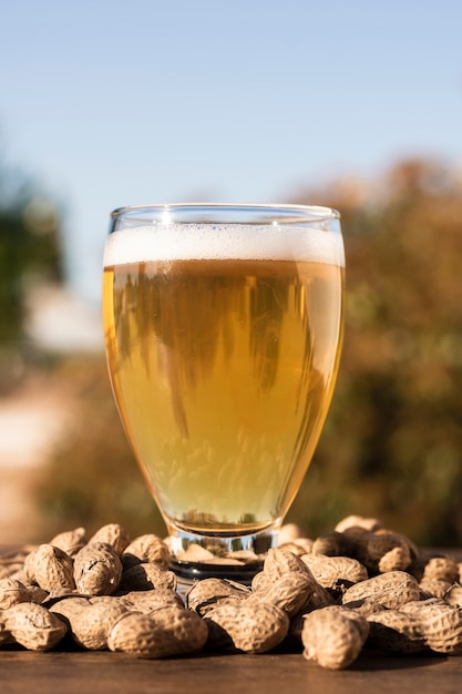 Low Angle Beer Glass on Top of Peanuts