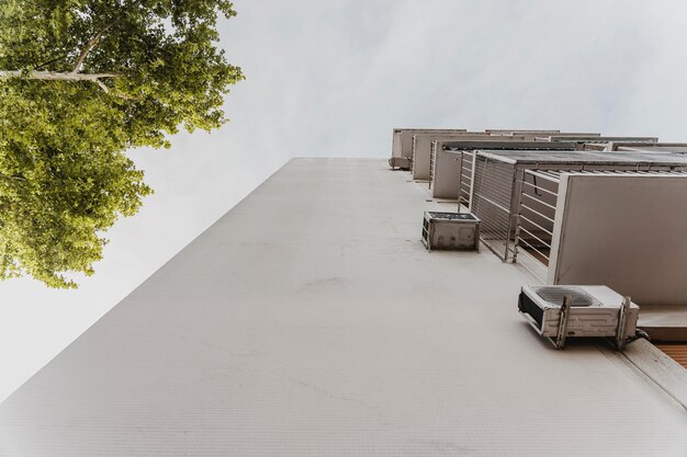 Low angle of building with tree in the city