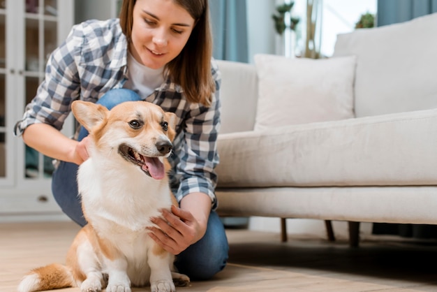 Free photo low angle of dog being pet by woman