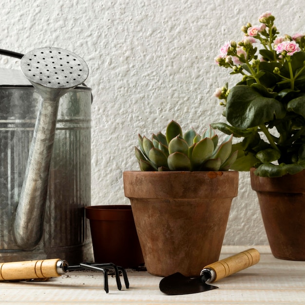 Low angle flower pots and tools