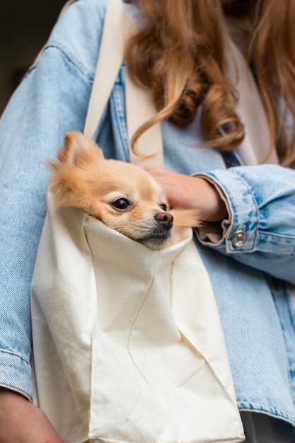 Free photo low angle girl carrying bag with dog