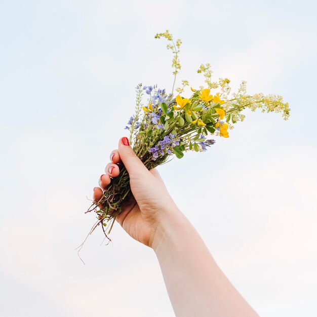 Low angle of hand holding beautiful bouquet of flowers