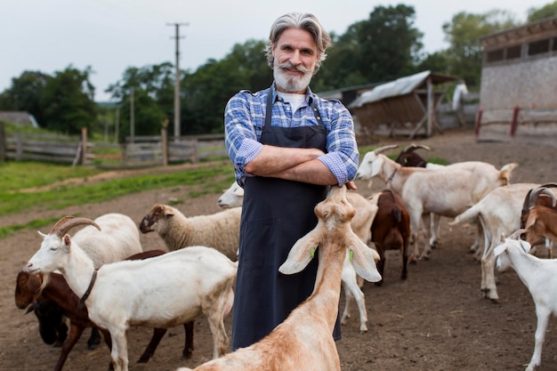 low angle man feeding goats