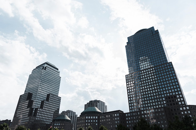 Low angle modern buildings skyline