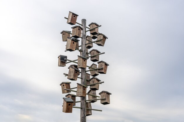 Foto gratuita inquadratura dal basso di diverse casette per gli uccelli attaccate a un palo di legno