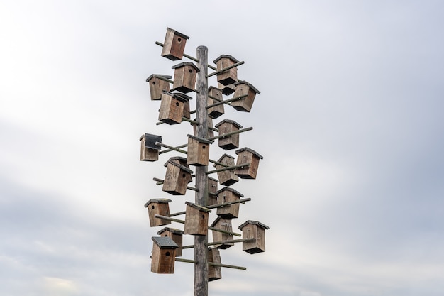 Low angle shot of different birdhouses attached to a wooden pole