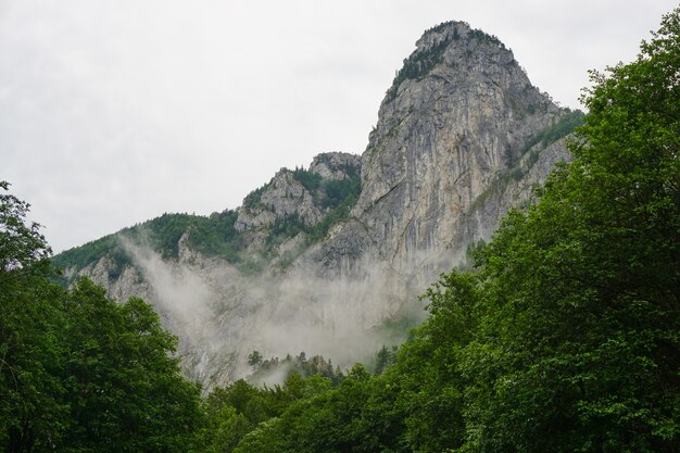 Снимок под низким углом туманной скальной горы на фоне облачного неба с деревьями на нижнем переднем плане
