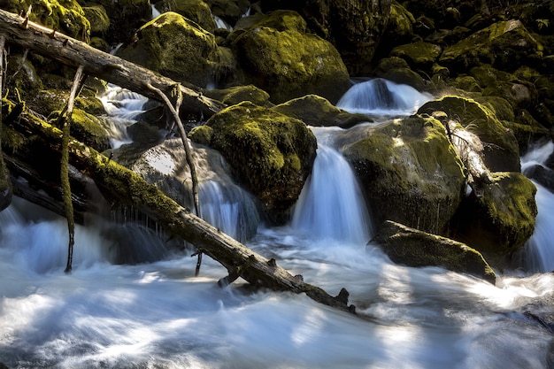 Low angle shot of a mesmerizing waterfall in the middle of the forest