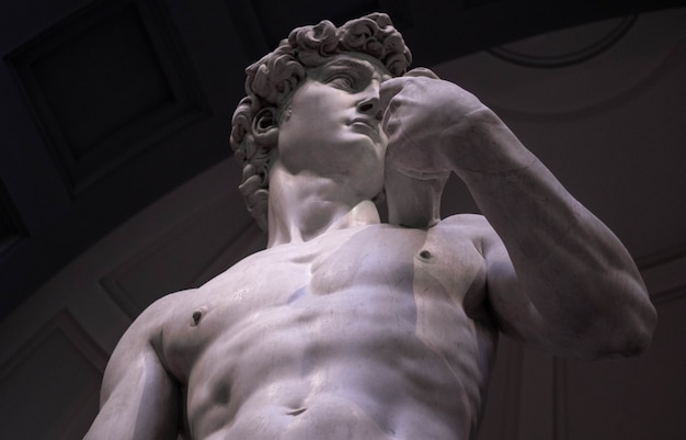 Low angle shot of Michelangelo's David in the Gallery of the Academy of Florence