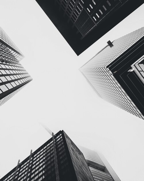 Low angle shot of modern glass city buildings