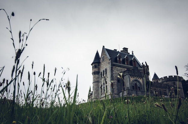 芝生の丘の上の古い美しい城のローアングルショット