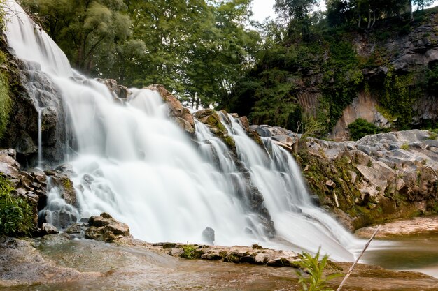 Снимок скалистого водопада с зелеными деревьями под низким углом