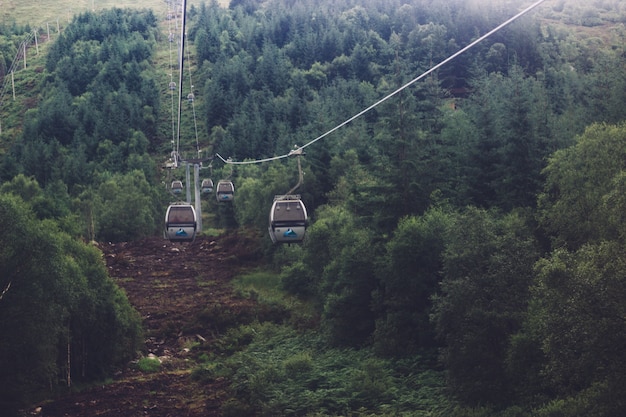 Low angle shot of a ropeway in the middle of a green mountainous scenery