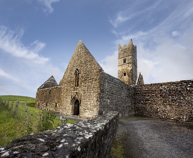 アイルランドのロッセルク修道院の雀のローアングルショット