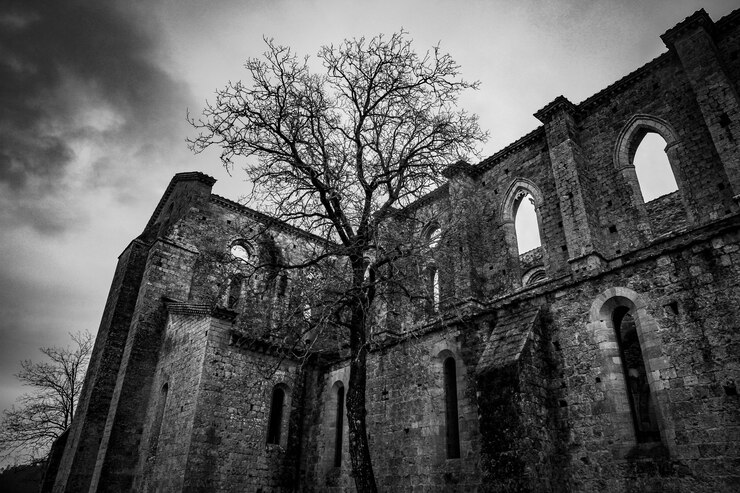 Free Photo low angle shot of ruin with arched type windows near a tall tree in black and white