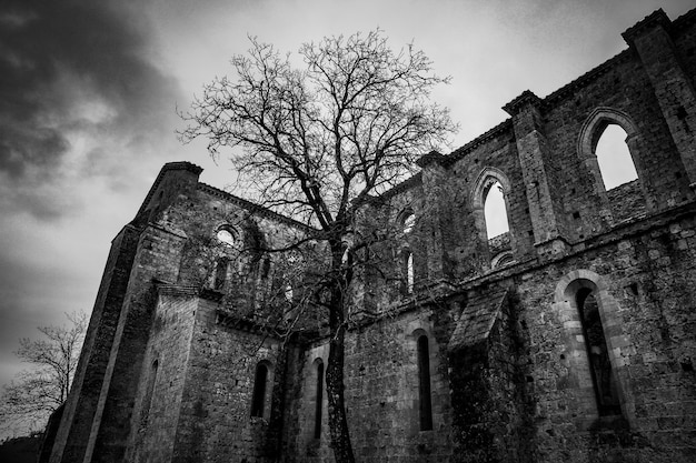 Low angle shot of ruin with arched type windows near a tall tree in black and white