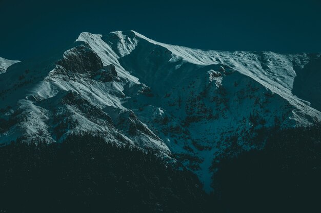 Снимок под низким углом заснеженных горных вершин с альпийскими деревьями на рассвете