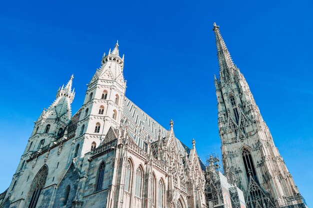 비엔나에있는 성 스테판 성당의 낮은 각도 샷
