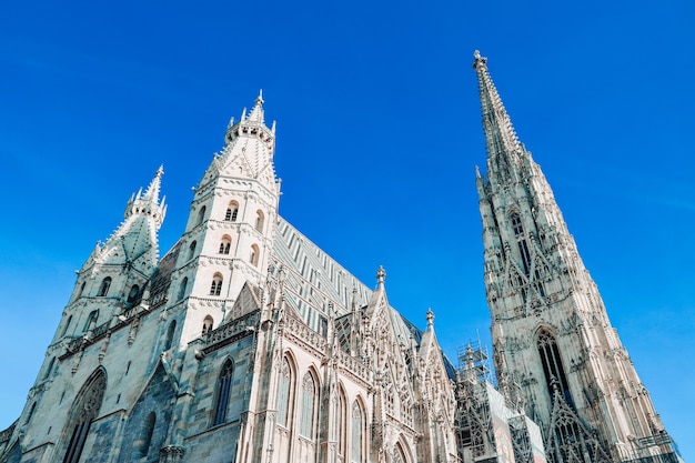ウィーンの聖シュテファン大聖堂のローアングルショット
