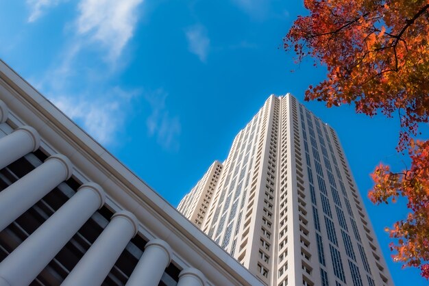 Low angle shot of tall glass buildings near trees under a cloudy blue sky