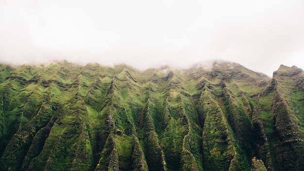 Low angle shot of a tall mountain in fog with moss growing in it