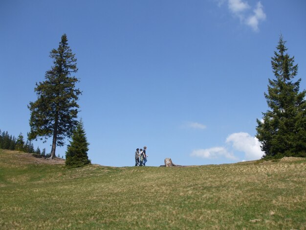 Low angle shot of three males on a grassy field with tall trees on a daylight